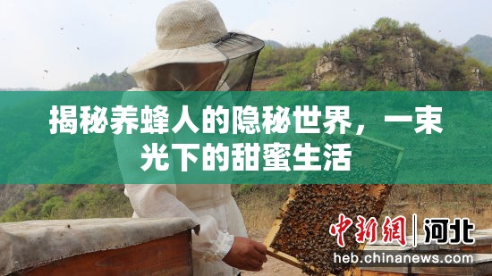 揭秘養(yǎng)蜂人的隱秘世界，一束光下的甜蜜生活