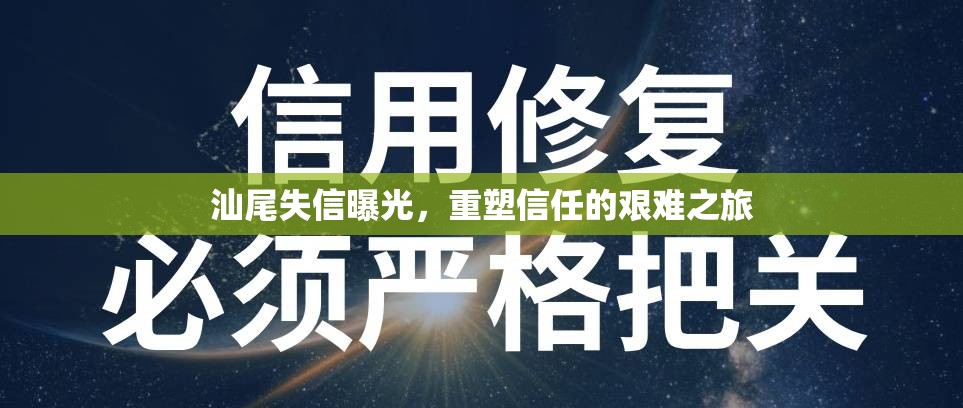 汕尾失信曝光，重塑信任的艱難之旅