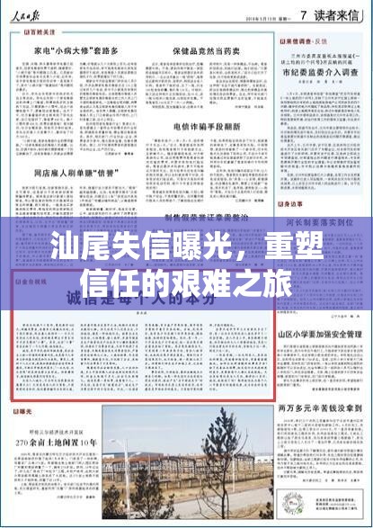 汕尾失信曝光，重塑信任的艱難之旅