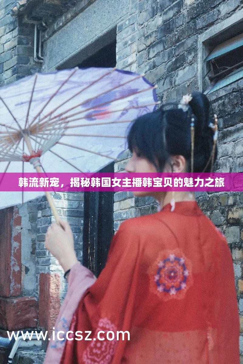韓流新寵，揭秘韓國女主播韓寶貝的魅力之旅
