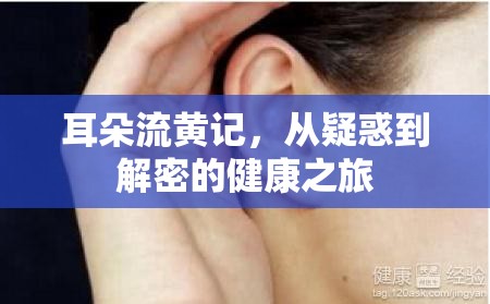 耳朵流黃記，從疑惑到解密的健康之旅