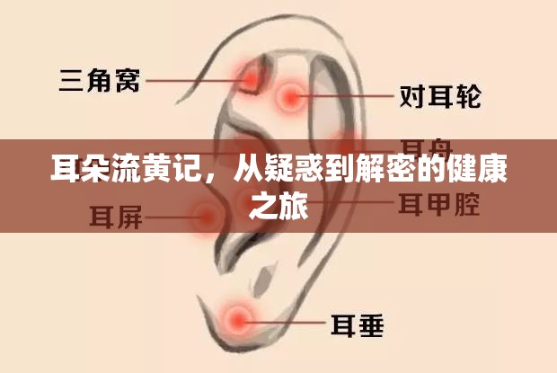 耳朵流黃記，從疑惑到解密的健康之旅