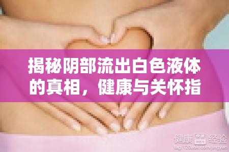 揭秘陰部流出白色液體的真相，健康與關懷指南