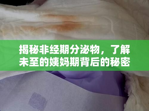 揭秘非經(jīng)期分泌物，了解未至的姨媽期背后的秘密