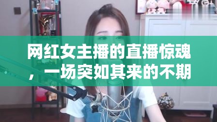 網(wǎng)紅女主播的直播驚魂，一場突如其來的不期而遇