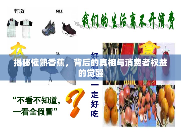 揭秘催熟香蕉，背后的真相與消費(fèi)者權(quán)益的覺(jué)醒