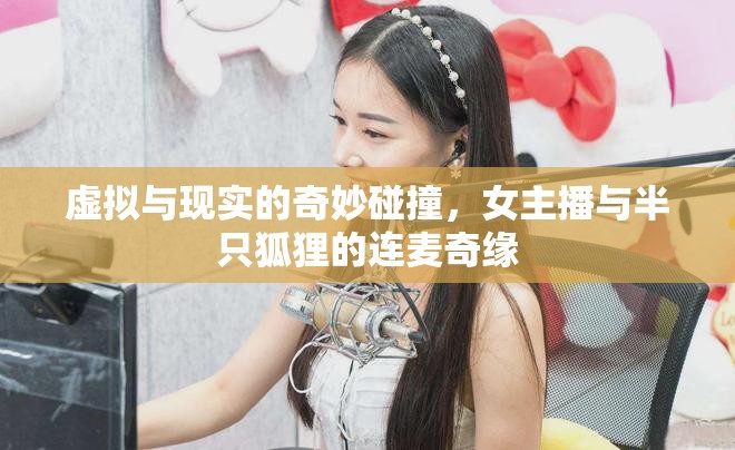 虛擬與現(xiàn)實的奇妙碰撞，女主播與半只狐貍的連麥奇緣