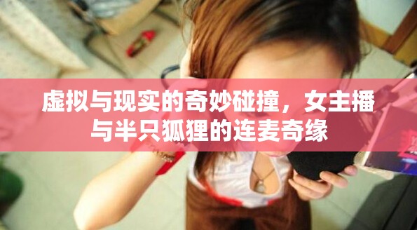 虛擬與現(xiàn)實的奇妙碰撞，女主播與半只狐貍的連麥奇緣