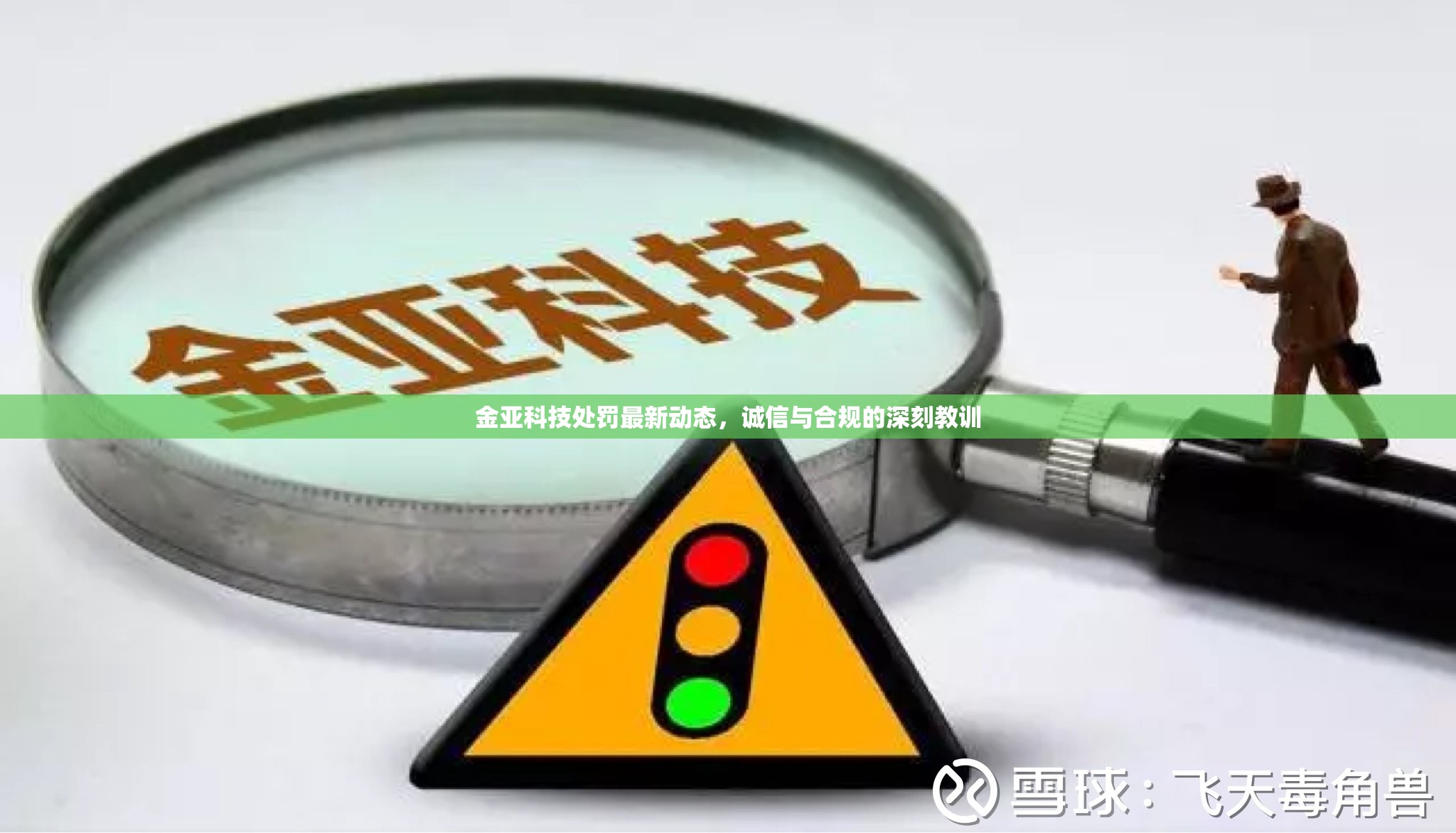 金亞科技處罰最新動態(tài)，誠信與合規(guī)的深刻教訓