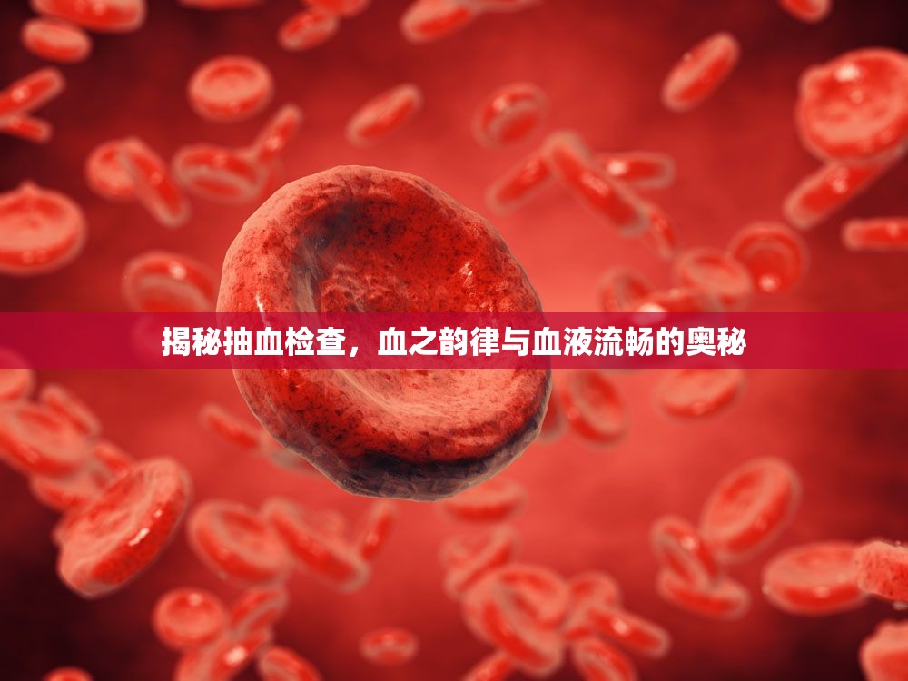 揭秘抽血檢查，血之韻律與血液流暢的奧秘
