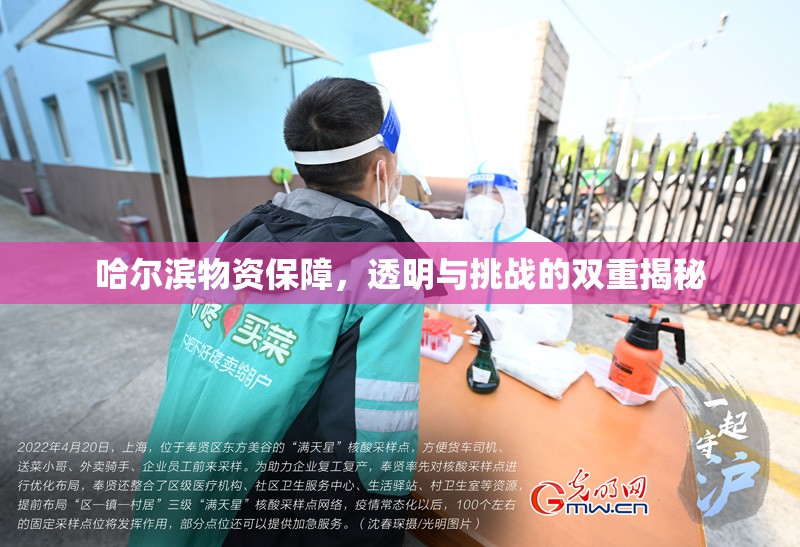 哈爾濱物資保障，透明與挑戰(zhàn)的雙重揭秘