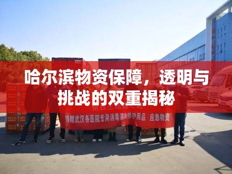 哈爾濱物資保障，透明與挑戰(zhàn)的雙重揭秘