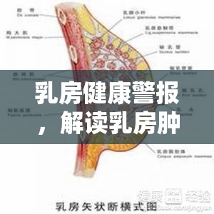乳房健康警報(bào)，解讀乳房腫塊與液體流出背后的真相