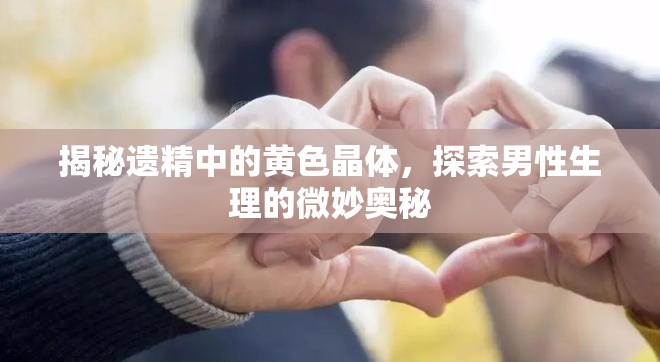 揭秘遺精中的黃色晶體，探索男性生理的微妙奧秘
