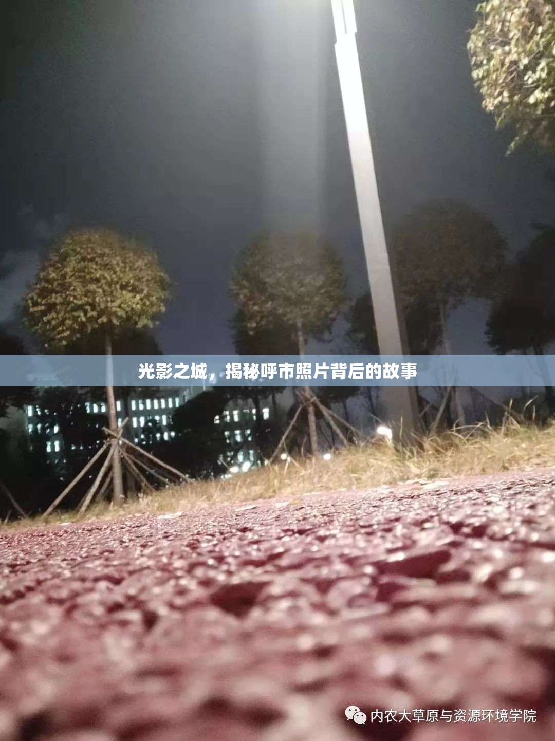 光影之城，揭秘呼市照片背后的故事