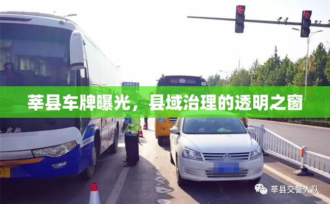 莘縣車牌曝光，縣域治理的透明之窗