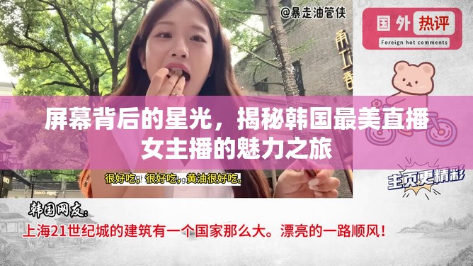 屏幕背后的星光，揭秘韓國(guó)最美直播女主播的魅力之旅