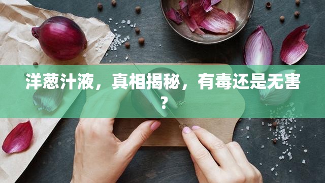 洋蔥汁液，真相揭秘，有毒還是無害？