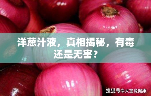 洋蔥汁液，真相揭秘，有毒還是無害？
