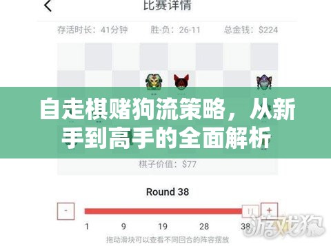 自走棋賭狗流策略，從新手到高手的全面解析