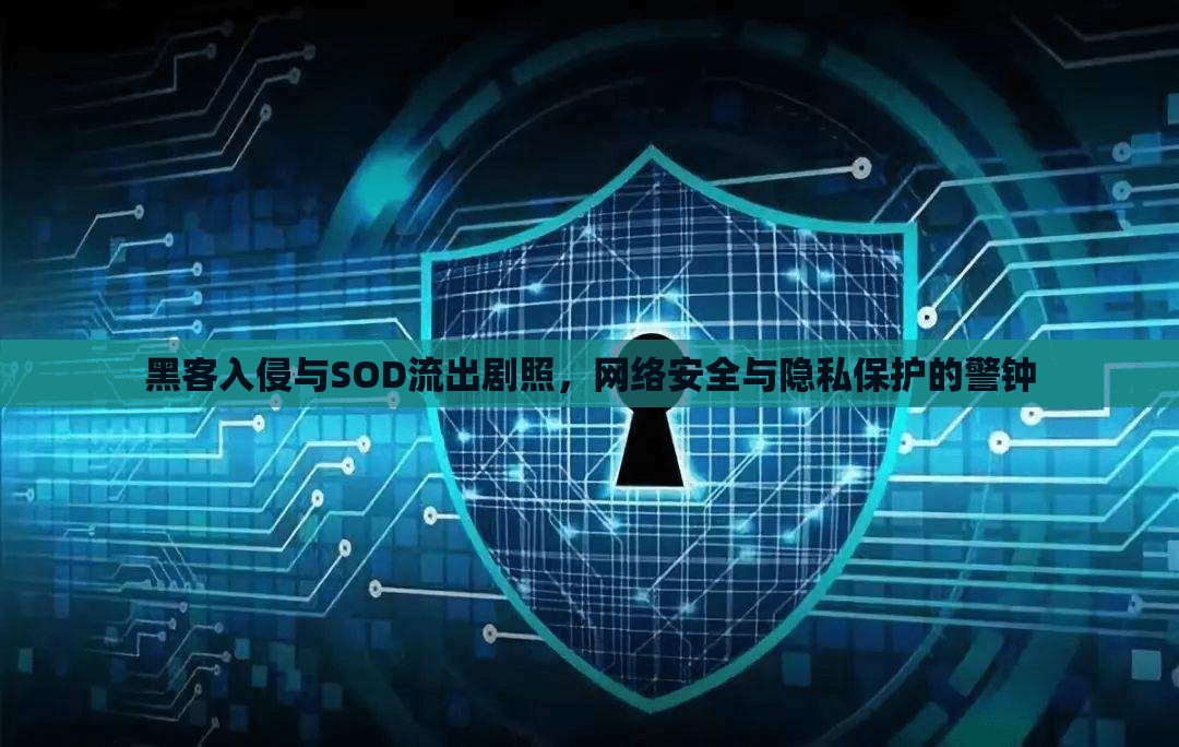 黑客入侵與SOD流出劇照，網(wǎng)絡(luò)安全與隱私保護(hù)的警鐘