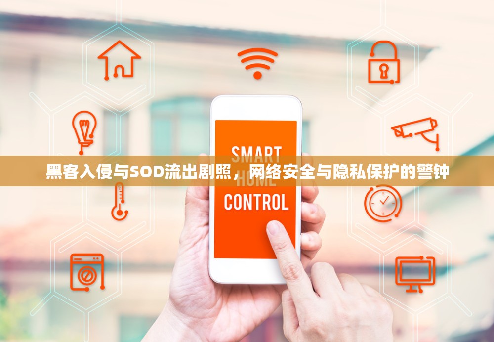 黑客入侵與SOD流出劇照，網(wǎng)絡(luò)安全與隱私保護(hù)的警鐘