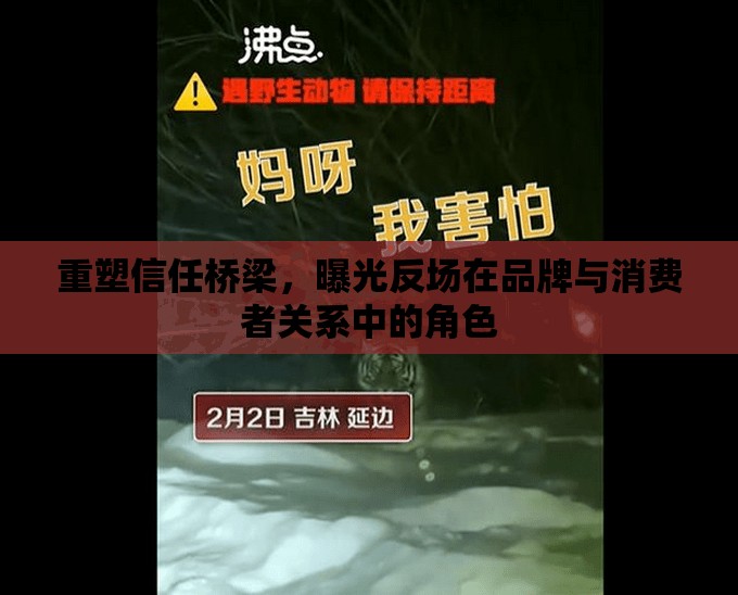 重塑信任橋梁，曝光反場(chǎng)在品牌與消費(fèi)者關(guān)系中的角色