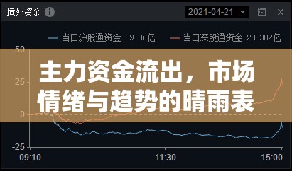 主力資金流出，市場情緒與趨勢的晴雨表