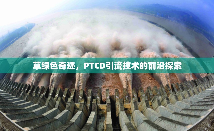 草綠色奇跡，PTCD引流技術(shù)的前沿探索