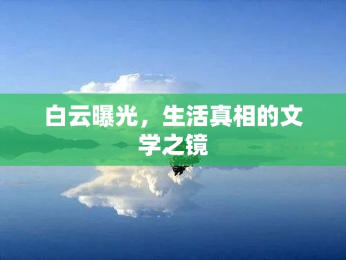 白云曝光，生活真相的文學(xué)之鏡