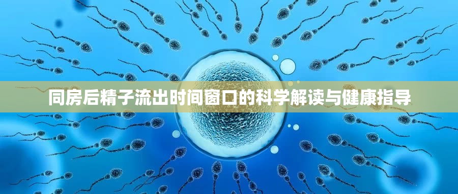同房后精子流出時(shí)間窗口的科學(xué)解讀與健康指導(dǎo)