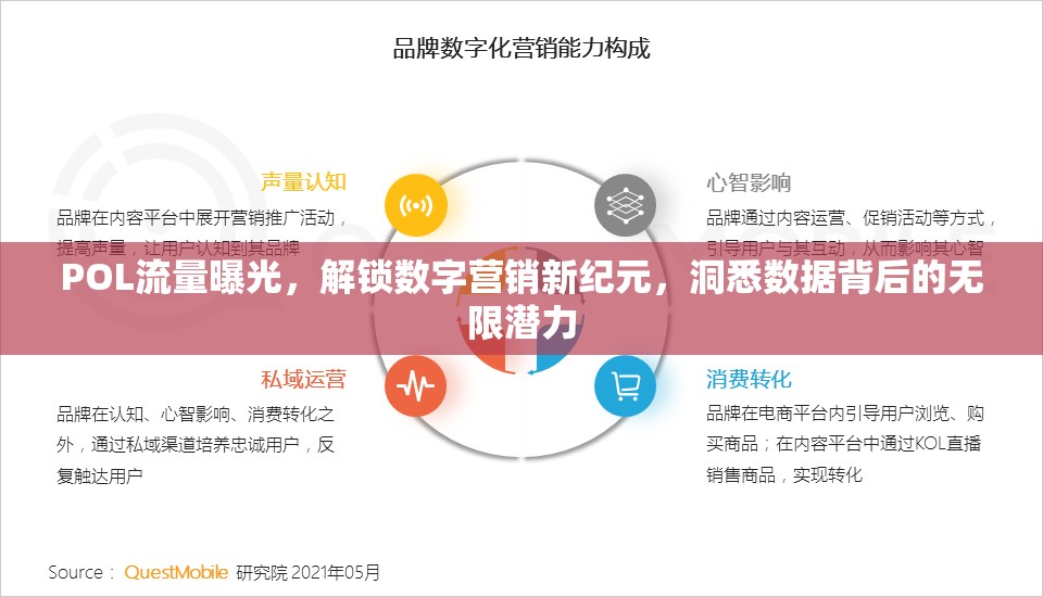 POL流量曝光，解鎖數(shù)字營(yíng)銷新紀(jì)元，洞悉數(shù)據(jù)背后的無限潛力