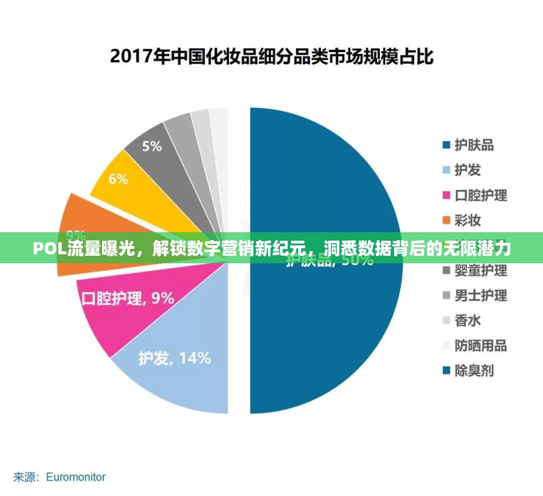 POL流量曝光，解鎖數(shù)字營(yíng)銷新紀(jì)元，洞悉數(shù)據(jù)背后的無限潛力