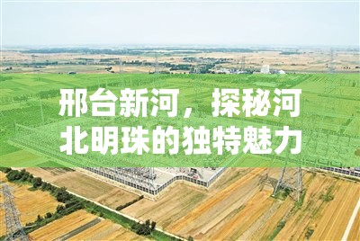 邢臺(tái)新河，探秘河北明珠的獨(dú)特魅力與未來發(fā)展