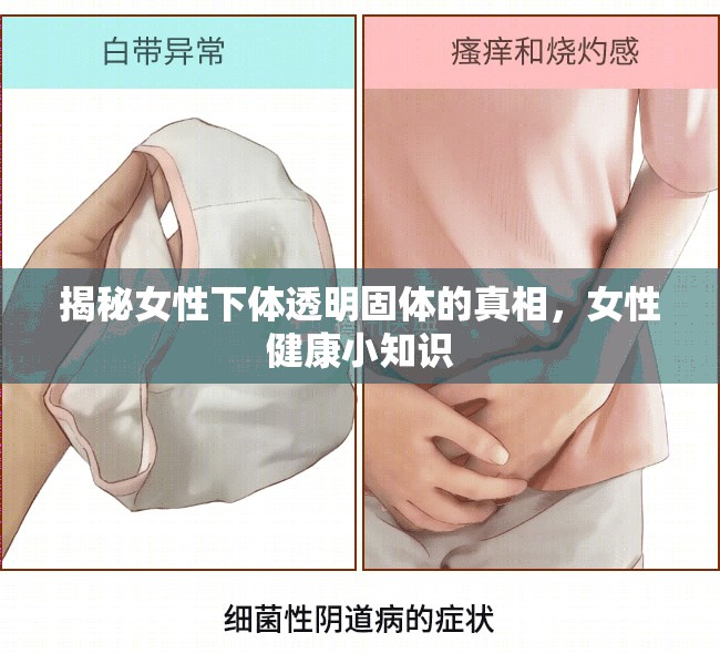 揭秘女性下體透明固體的真相，女性健康小知識