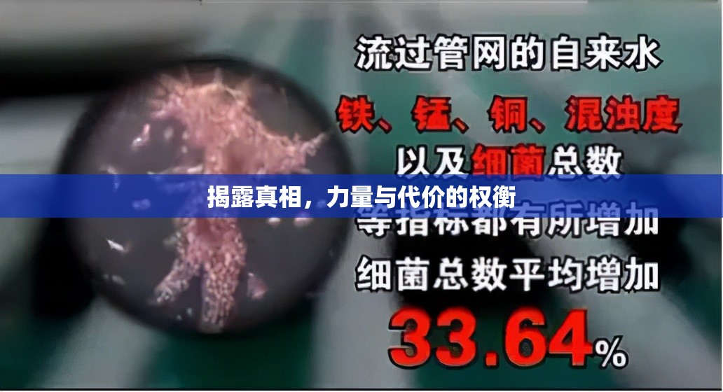 揭露真相，力量與代價的權(quán)衡