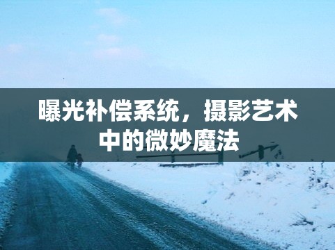 曝光補償系統(tǒng)，攝影藝術(shù)中的微妙魔法