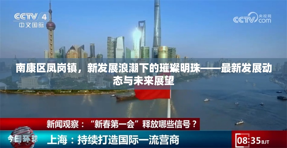 南康區(qū)鳳崗鎮(zhèn)，新發(fā)展浪潮下的璀璨明珠——最新發(fā)展動(dòng)態(tài)與未來(lái)展望