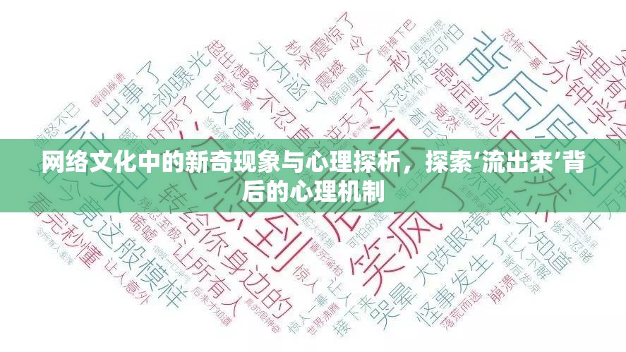 網(wǎng)絡(luò)文化中的新奇現(xiàn)象與心理探析，探索‘流出來’背后的心理機(jī)制