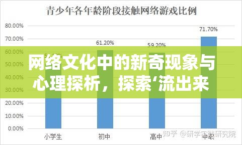 網(wǎng)絡(luò)文化中的新奇現(xiàn)象與心理探析，探索‘流出來’背后的心理機(jī)制