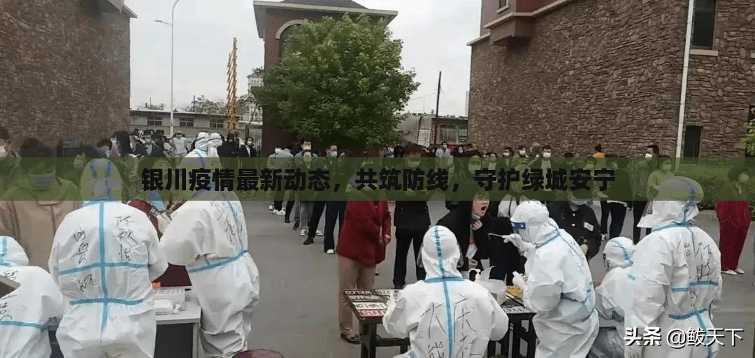 銀川疫情最新動態(tài)，共筑防線，守護綠城安寧