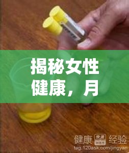 揭秘女性健康，月經(jīng)期間流出黃色液體的真相