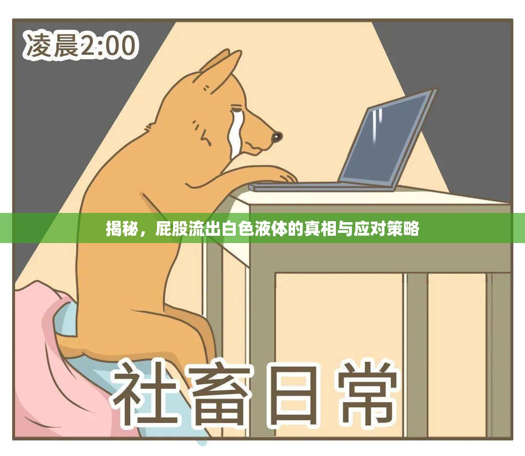 揭秘，屁股流出白色液體的真相與應(yīng)對(duì)策略
