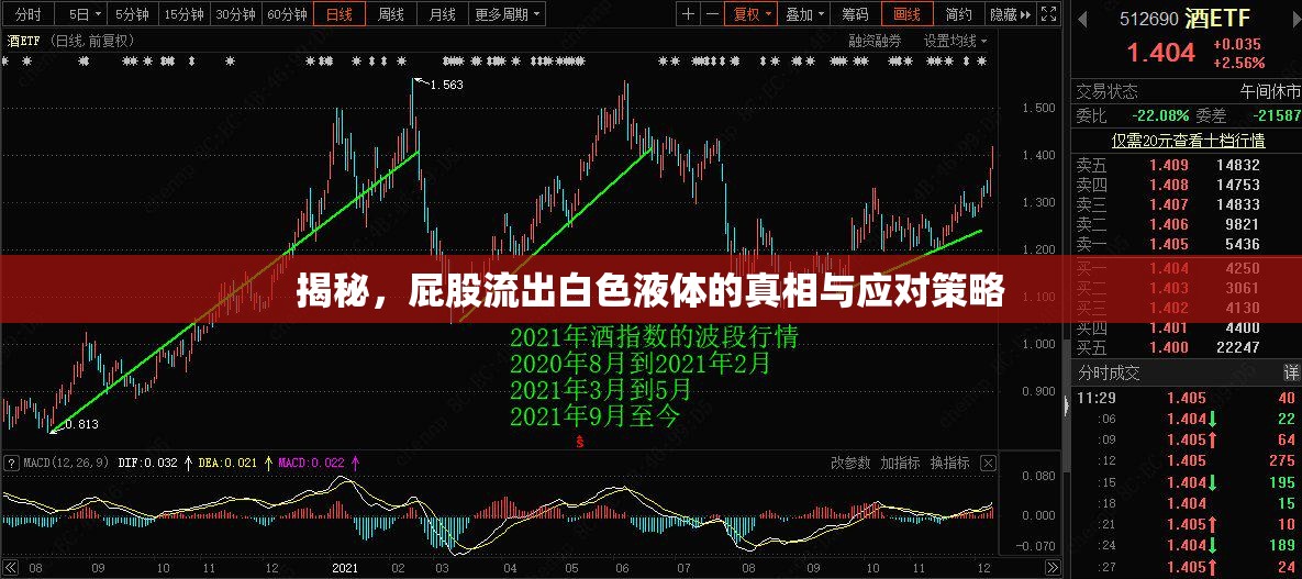 揭秘，屁股流出白色液體的真相與應(yīng)對(duì)策略