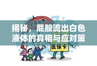 揭秘，屁股流出白色液體的真相與應(yīng)對(duì)策略