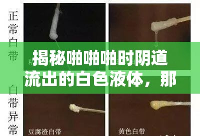揭秘啪啪啪時(shí)陰道流出的白色液體，那些不為人知的秘密