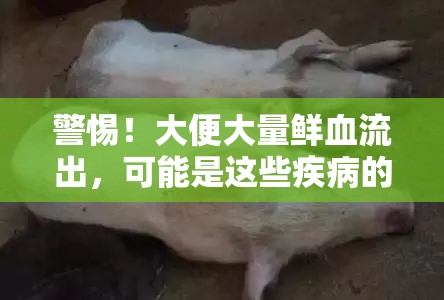 警惕！大便大量鮮血流出，可能是這些疾病的癥狀