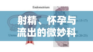 射精、懷孕與流出的微妙科學(xué)，從生理到情感的深度解析