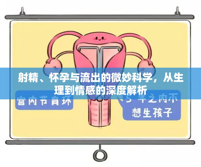 射精、懷孕與流出的微妙科學(xué)，從生理到情感的深度解析