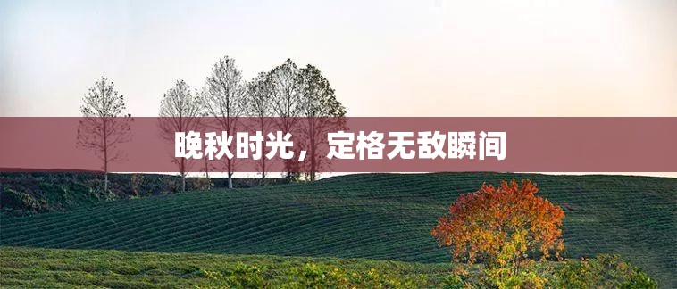 晚秋時光，定格無敵瞬間